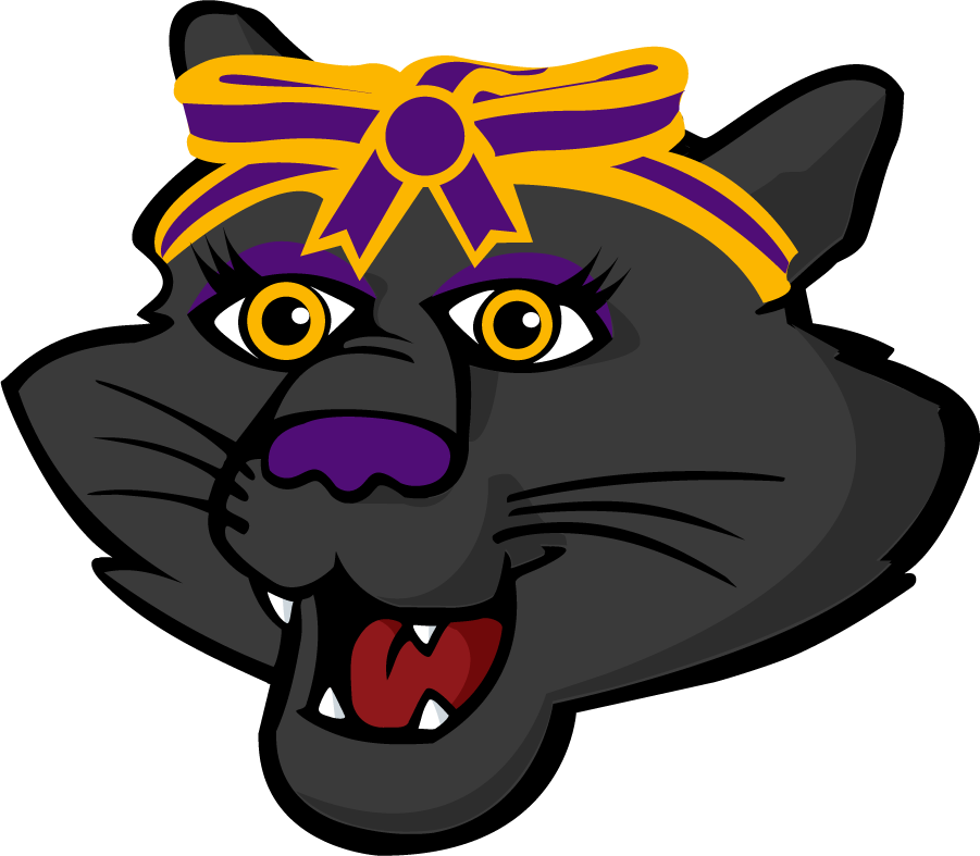 Northern Iowa Panthers 2021-Pres Mascot Logo DIY iron on transfer (heat transfer)